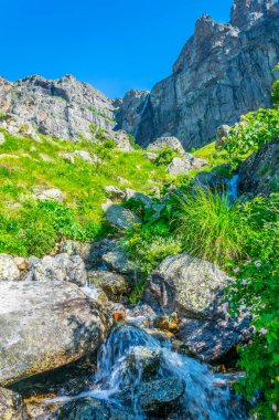 Raisko Praskalo Şelalesi Balkanlar 'ın orta kesimindeki Bulgari Milli Parkı' nda.