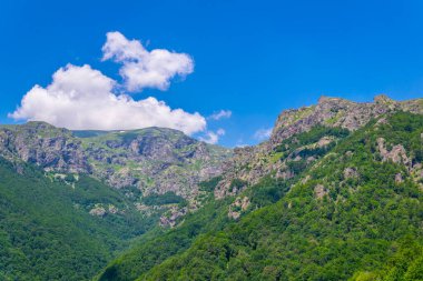 Central Balkan national park in Bulgari