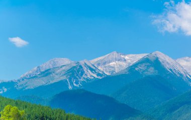 Bir ormanın üzerinde duran Pirin Dağları, Bulgari