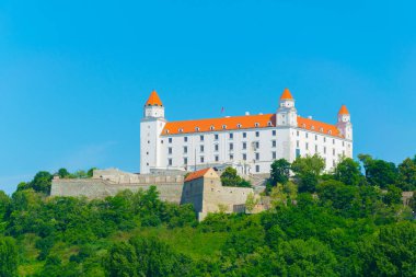view of the bratislava castle situated on a hill next to the danube river in slovakia