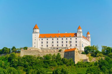 Slovakya 'daki Danube nehrinin yanındaki tepedeki Bratislava kalesinin manzarası