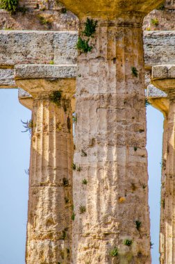 Paestum 'daki antik harabe tesisinde bulunan Nettuno tapınağının ayrıntılı görüntüsü