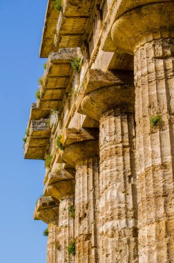 Paestum 'daki antik harabe tesisinde bulunan Nettuno tapınağının ayrıntılı görüntüsü