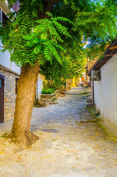 Vue Une Rue Ville Veliko Tarnovo Bulgari — Photo