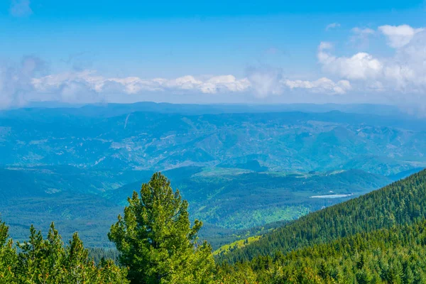 Montañas Pirin Pie Sobre Bosque Bulgari —  Fotos de Stock