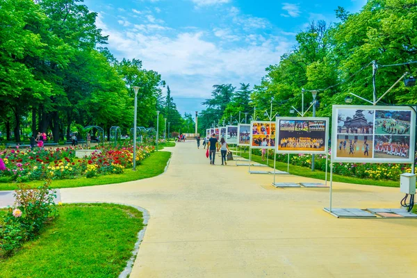 İnsanlar Kazanlak, Bulgari 'deki gül bahçesinde geziniyorlar.