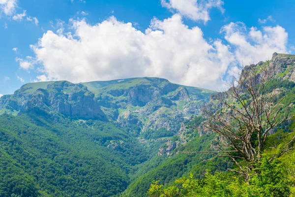 布尔加里巴尔干中部国家公园 — 图库照片