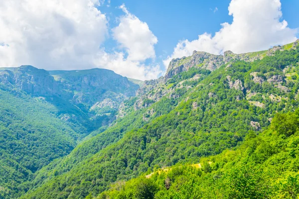 布尔加里巴尔干中部国家公园 — 图库照片
