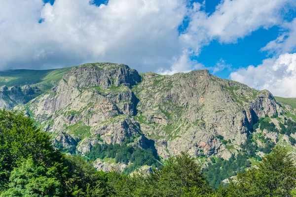Central Balkan National Park Bulgari — Stockfoto