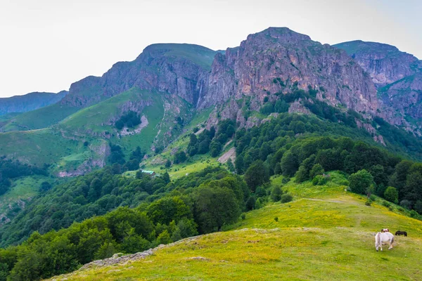 Raisko Praskalo Şelalesi Balkanlar 'ın orta kesimindeki Bulgari Milli Parkı' nda.