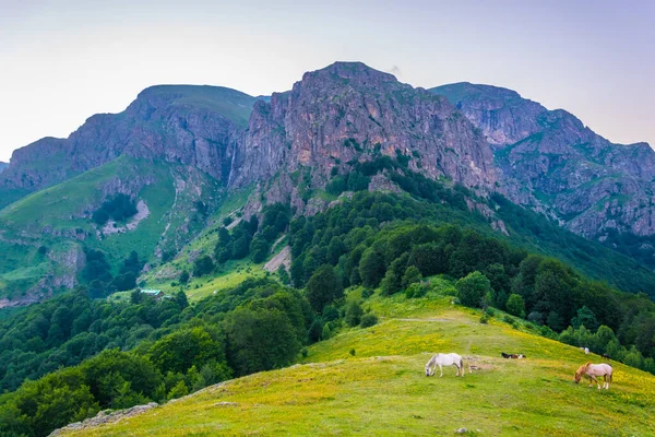 Raisko Praskalo Şelalesi Balkanlar 'ın orta kesimindeki Bulgari Milli Parkı' nda.