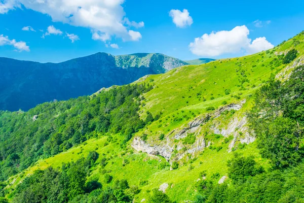 Central Balkan National Park Bulgari — Stockfoto