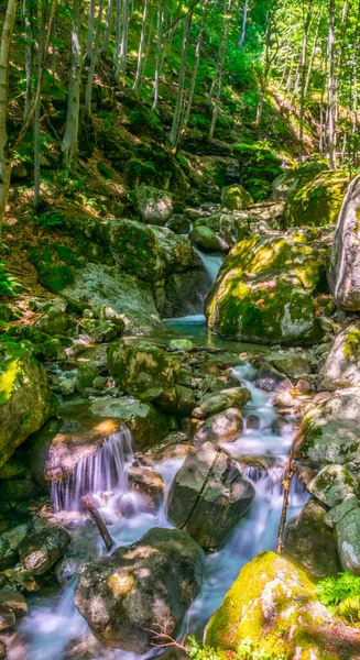 View Small Waterfall Hidden Forest Central Balkan National Park Bulgari — Stock Photo, Image
