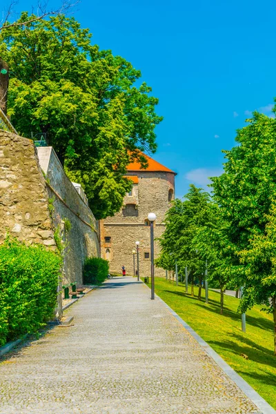 Alley Leading Next Fortification Bratislava Castle — Stok fotoğraf