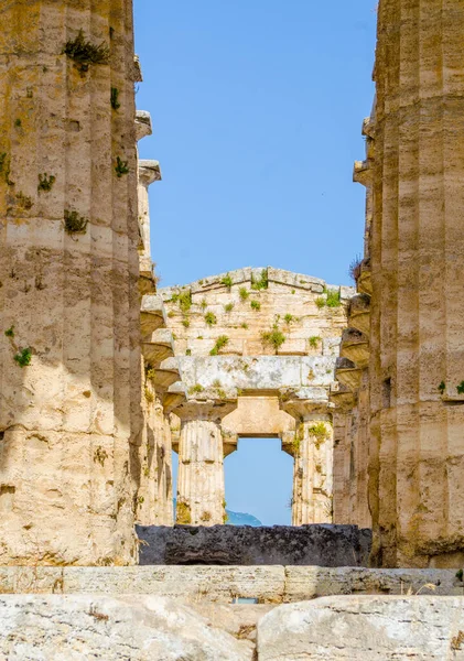Szczegółowy Widok Świątyni Nettuno Znajduje Się Starożytnym Kompleksie Ruin Paestum — Zdjęcie stockowe
