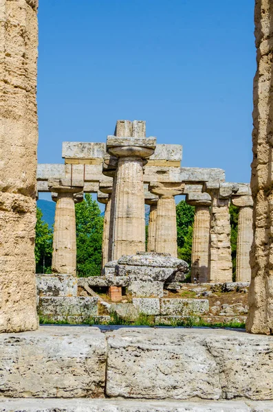 Paestum 'daki antik harabe tesisinde bulunan Nettuno tapınağının ayrıntılı görüntüsü