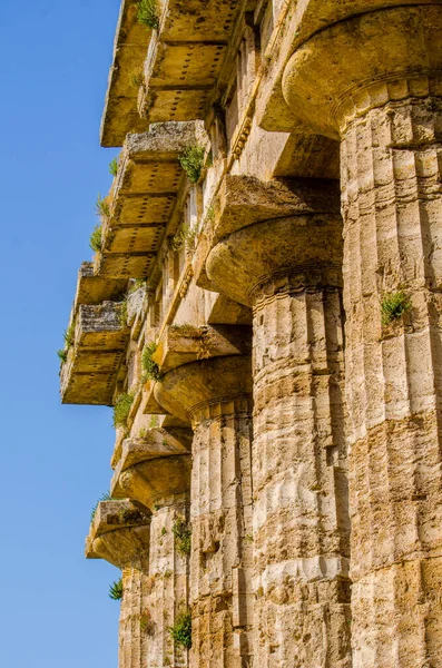 Detailed View Temple Nettuno Situated Ancient Ruin Complex Paestum — Foto Stock
