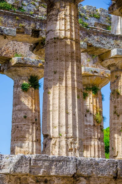 Detailed View Temple Nettuno Situated Ancient Ruin Complex Paestum — Fotografia de Stock