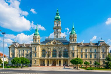View of the town hall of the hungarian city Gyor.
