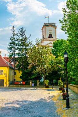 Macar şehri Gyor 'daki piskopos kalesinin manzarası.