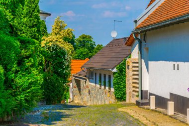 Macar kasabası Szentendre 'de geleneksel dar bir cadde manzarası