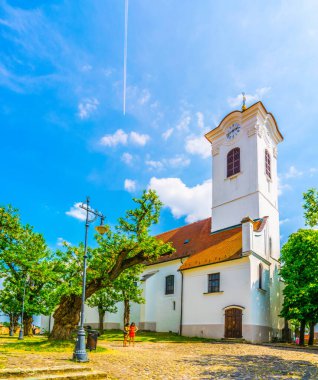 Aziz John Roma Katolik Kilisesi. Szentendre, Macaristan