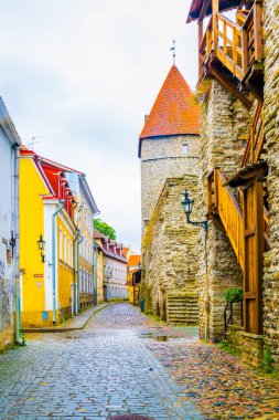 Estonya başkenti Tallin 'deki ortaçağ istihkamının ayrıntıları