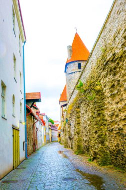 Detail of the medieval fortification in the Estonian capital Tallin