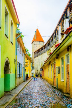 Estonya 'nın başkenti Tallin' deki ortaçağ tahkimatı boyunca uzanan renkli binaların manzarası