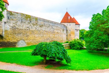 Detail of the medieval fortification in the Estonian capital Tallin