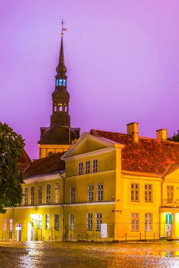 Estoni 'deki Tallin Katedrali' nin gece manzarası