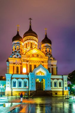Tallin, Estoni 'deki Toompea' daki Alexander Nevski Rus Ortodoks Katedrali gece görüşü