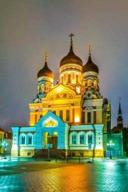 Night view of the Alexander Nevski Russian Orthodox Cathedral in Toompea part of Tallin, Estoni