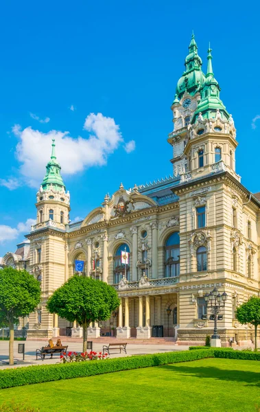 View Town Hall Hungarian City Gyor — Zdjęcie stockowe