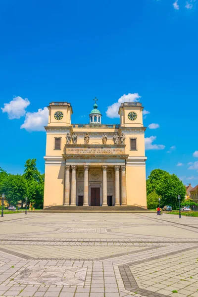 Blick Auf Den Dom Der Ungarischen Stadt Vac — Stockfoto