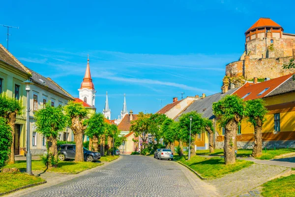 Narrow Street Hungarian City Esztergom Church Saint Ignac Basilica Top — Foto de Stock