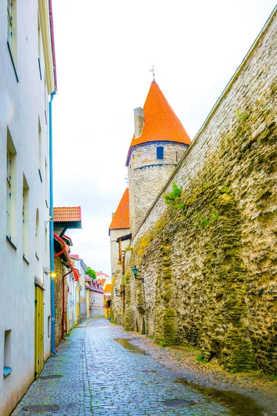 Detalle Fortificación Medieval Capital Estonia Tallin — Foto de Stock