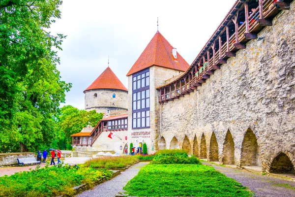Detail Medieval Fortification Estonian Capital Tallin — Fotografia de Stock