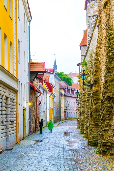 Estonya 'nın başkenti Tallin' deki ortaçağ tahkimatı boyunca uzanan renkli binaların manzarası