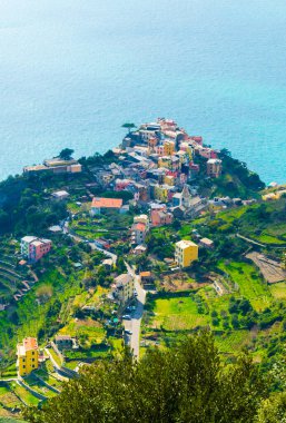 İtalya 'nın ünlü Cinque Terre bölgesinin bir parçası olan Mırniglia köyünün havadan görünüşü.