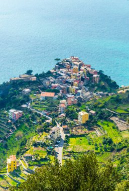 İtalya 'nın ünlü Cinque Terre bölgesinin bir parçası olan Mırniglia köyünün havadan görünüşü.