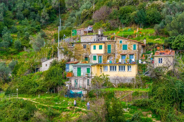 View Small Settlement Situated Path Cinque Terre National Park Italy — Foto de Stock