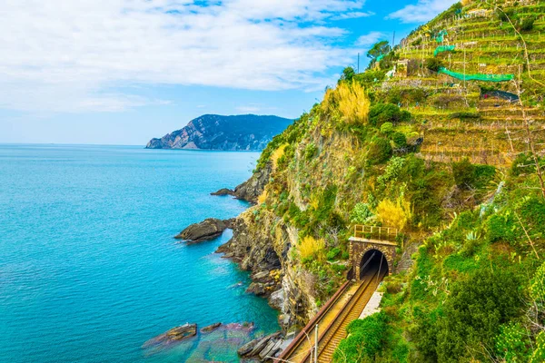 Talya Daki Vernazza Köyü Giden Demiryolu Ile Cinque Terre Ulusal — Stok fotoğraf