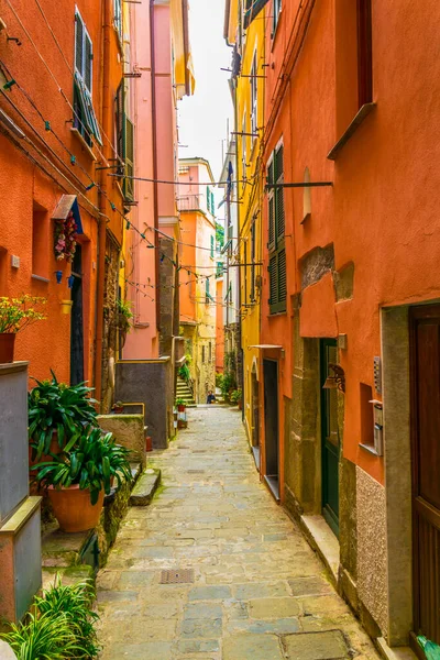 View Narrow Street Waiting Tourists Come Vernazza Cinque Terre Italy —  Fotos de Stock