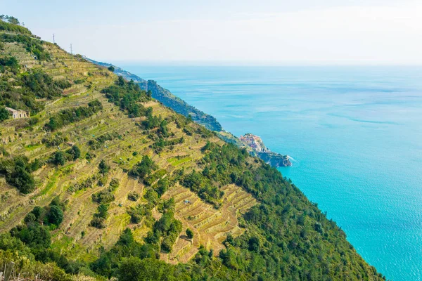 Blick Auf Die Küste Des Cinque Terre Nationalparks Italien — Stockfoto