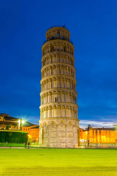 Night View Leaning Tower Pisa Italy — Stok fotoğraf