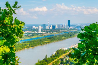 Viyana Uluslararası Merkezi 'nin Viyana' daki Kahlenberg Tepesi 'nden yemyeşil bitki örtüsü üzerinden havadan görünüşü