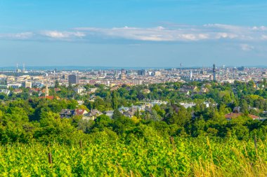 Kahlenberg Tepesi 'nin üzüm bağlarının arkasına gizlenmiş Viyana' nın hava manzarası