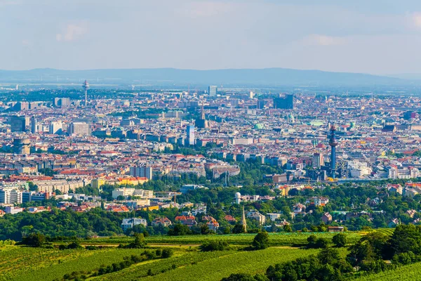 Viyana 'nın tarihi merkezinin havadan görünüşü içinde stephamsdom Katedrali Belvedere Sarayı, Karlskirche Kilisesi ve Kahlenberg Tepesi' nden birçok manzara da var.