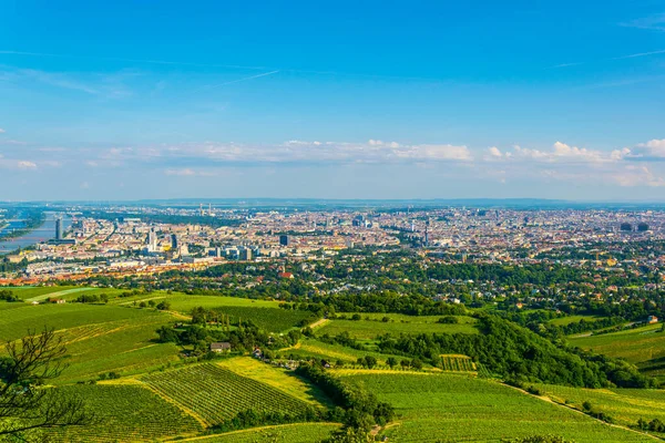 Avusturalya 'daki Kahlenberg Tepesi' nden alınan Viyana manzarası